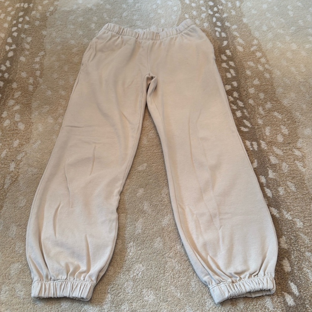 Aritzia terry sweats